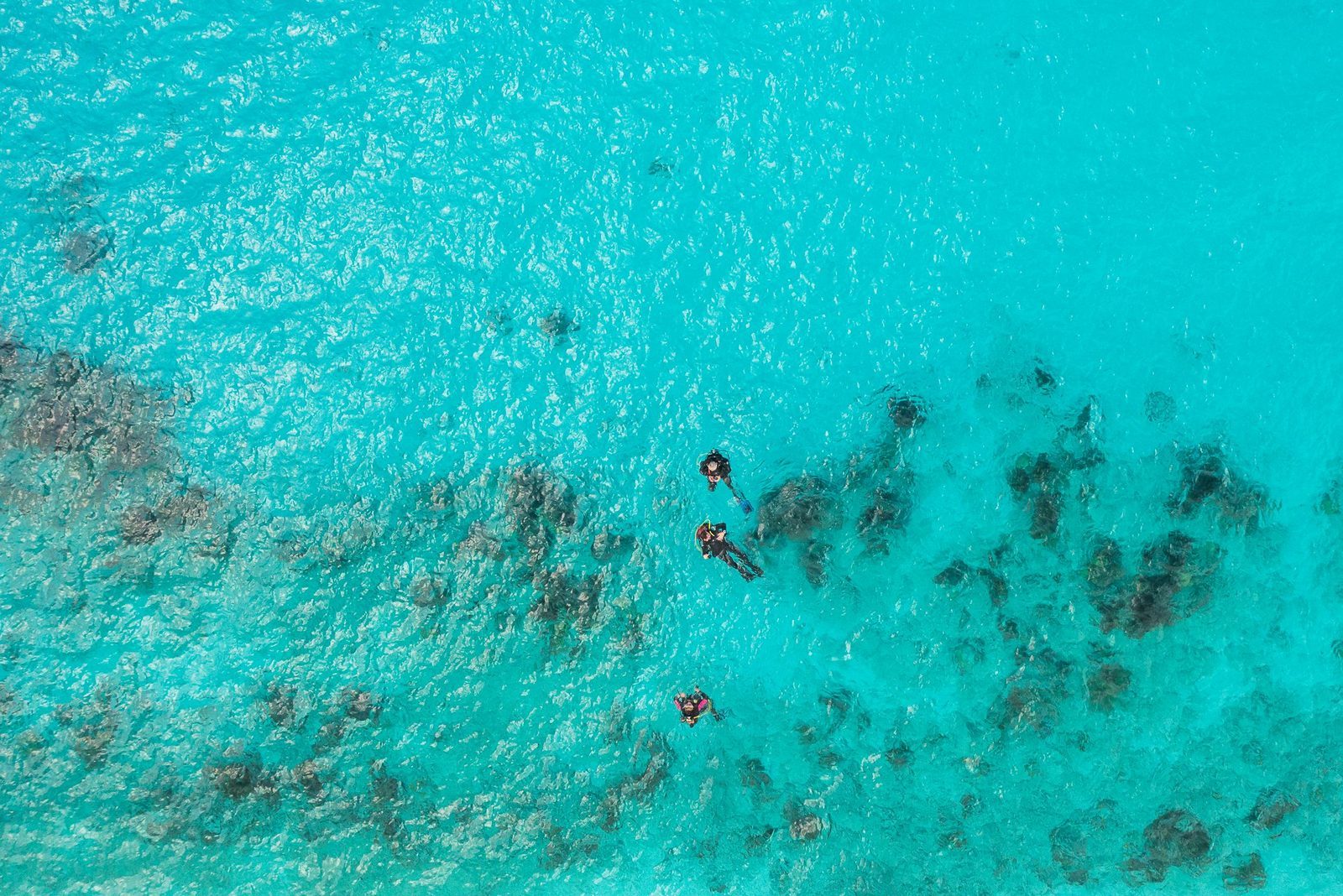 Bonaire National Marine Park