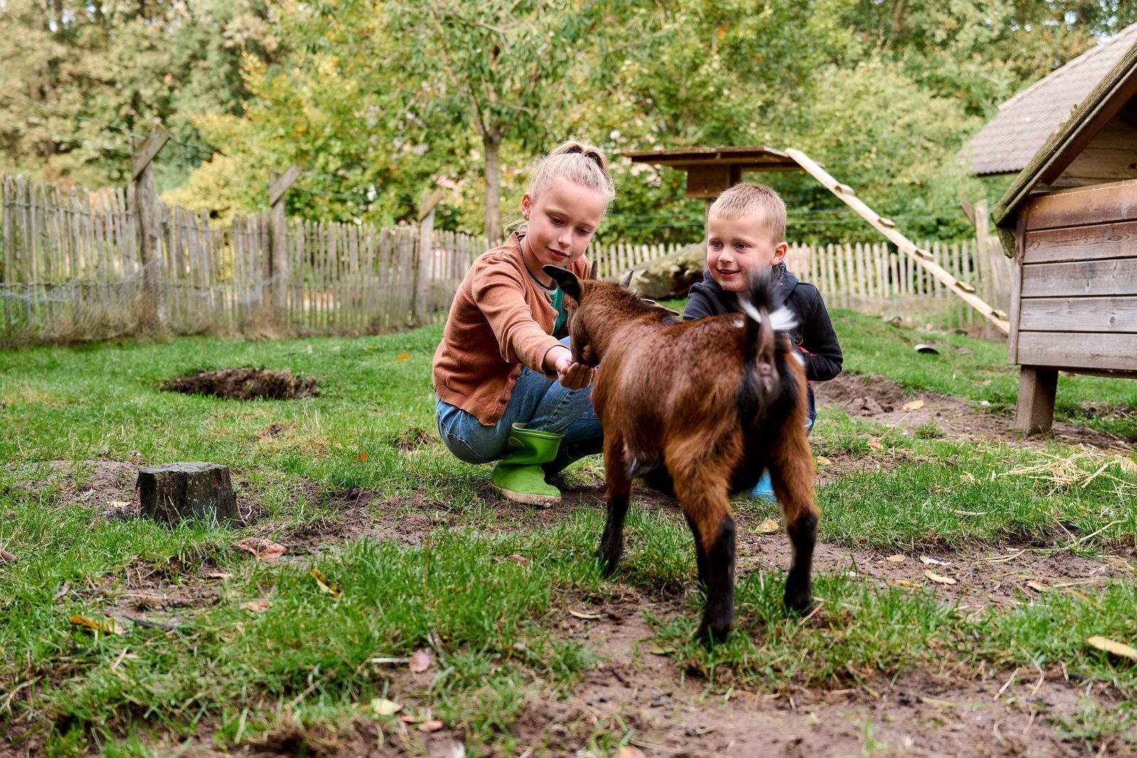 Last minute Noord-Brabant