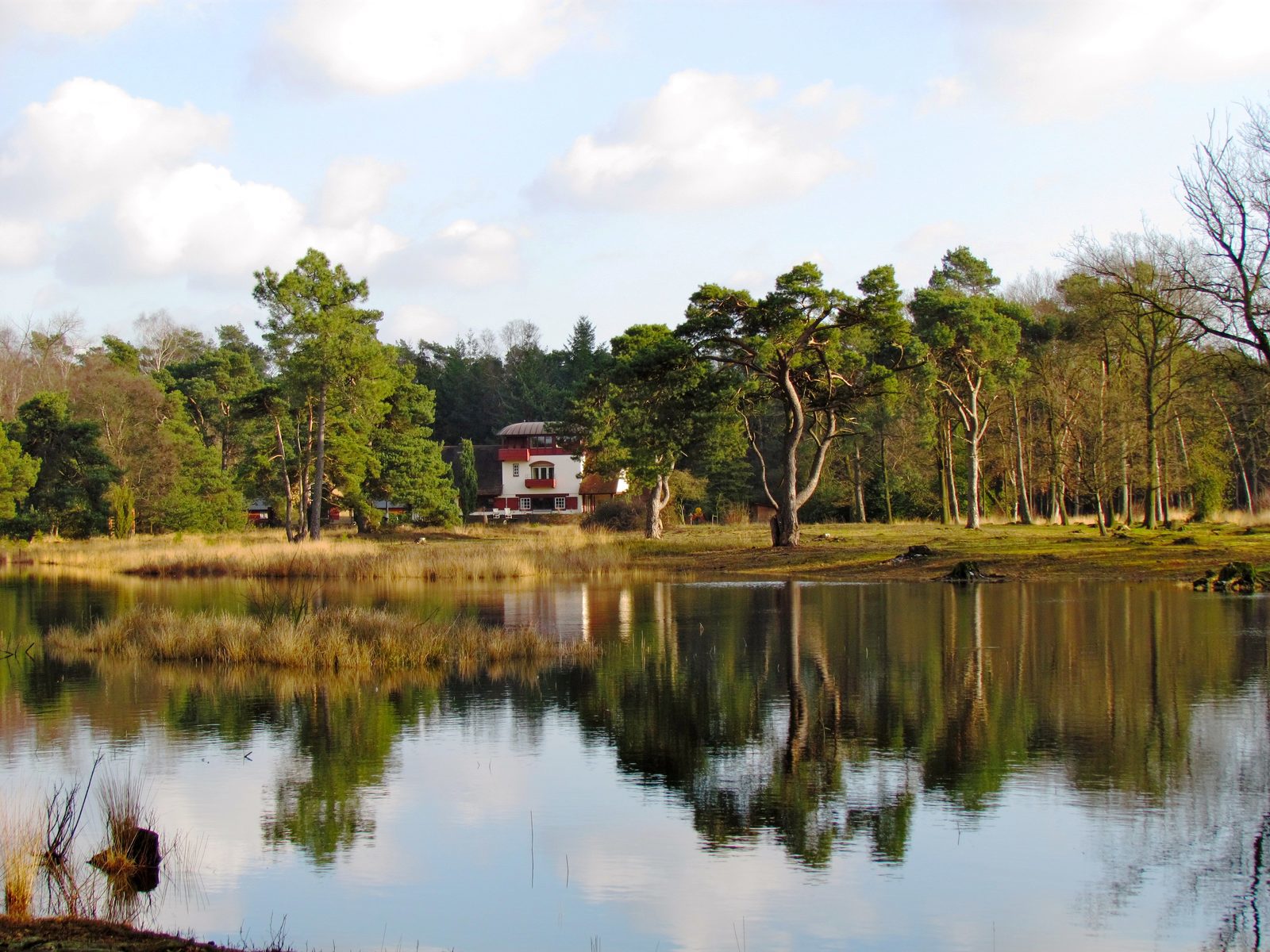 Vakantiehuis in de natuur van Overijssel, Nederland