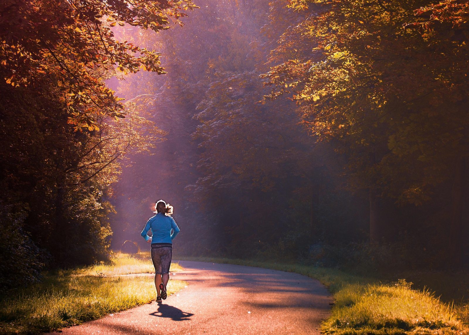 Sportief verblijf op de Veluwe