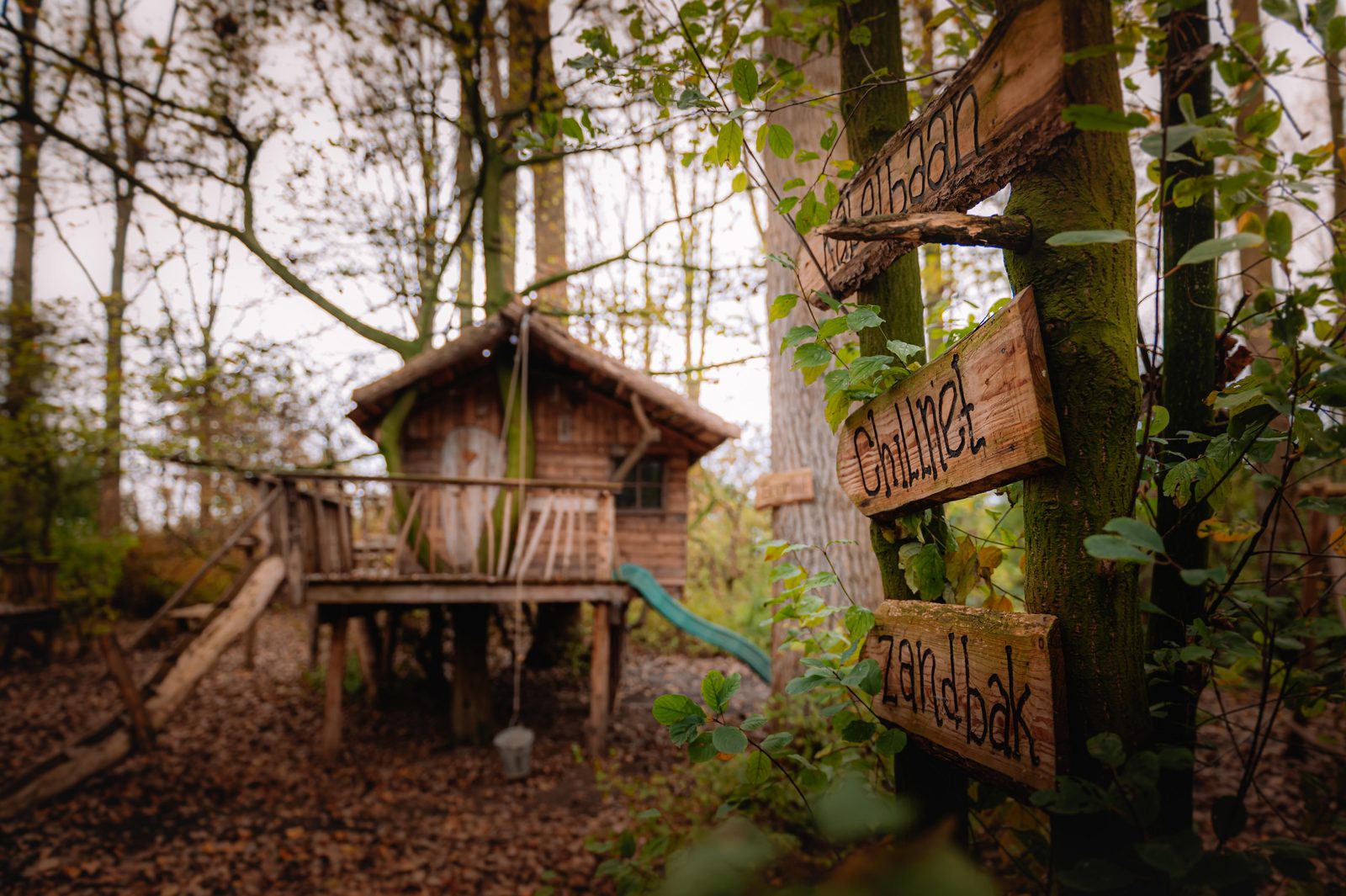 Treehouse & Children's Playhouse