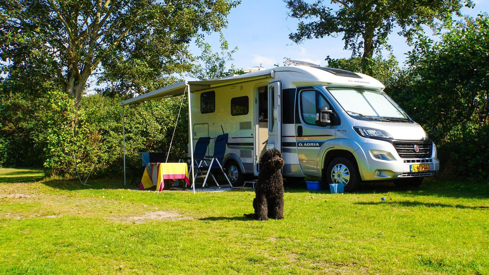 Camping Sintmaartenszee