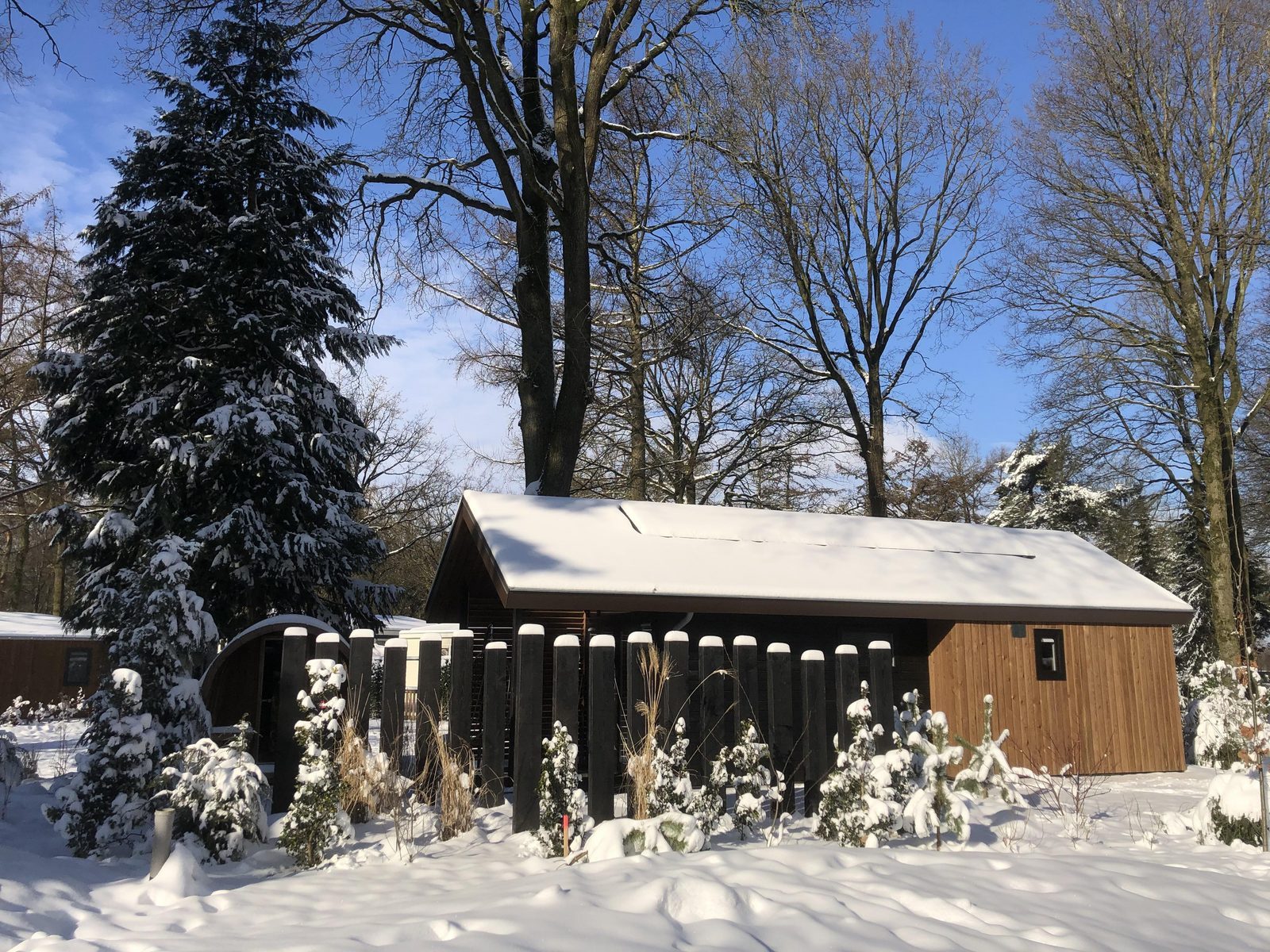 Park Berkenrhode Winter