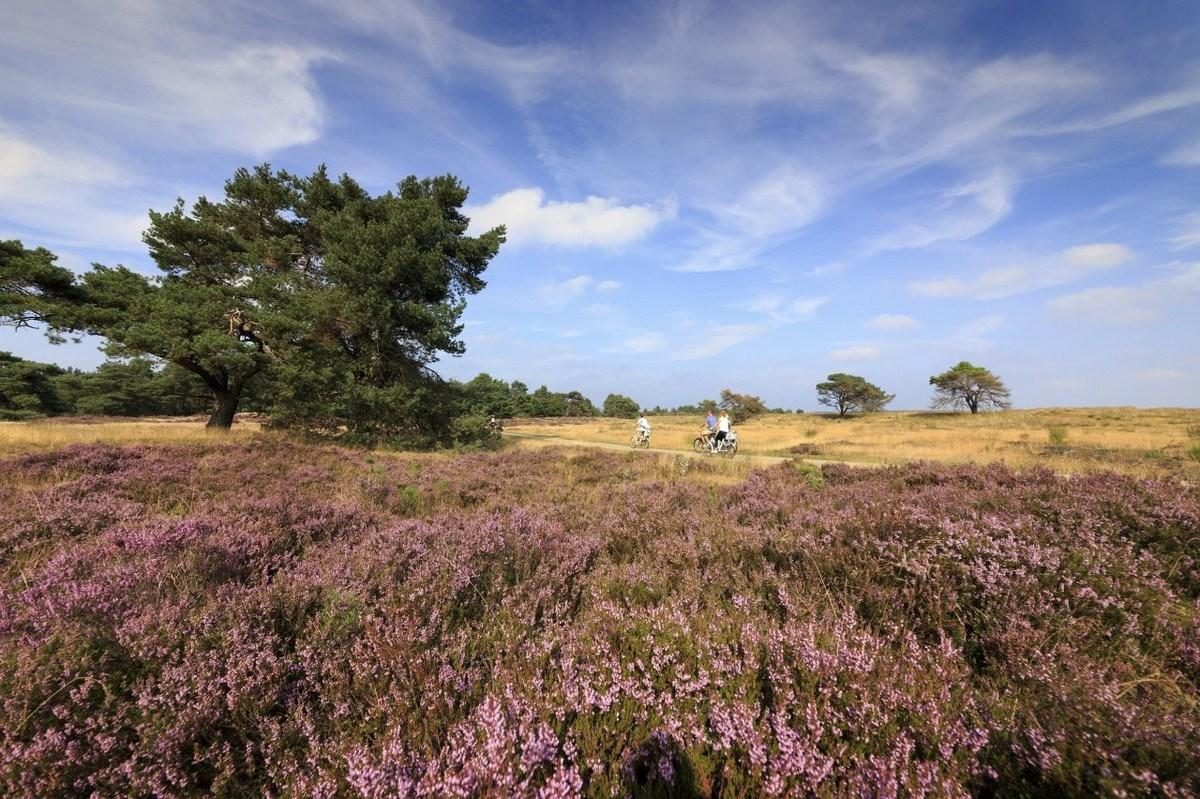 Do you know how the Veluwe originated?