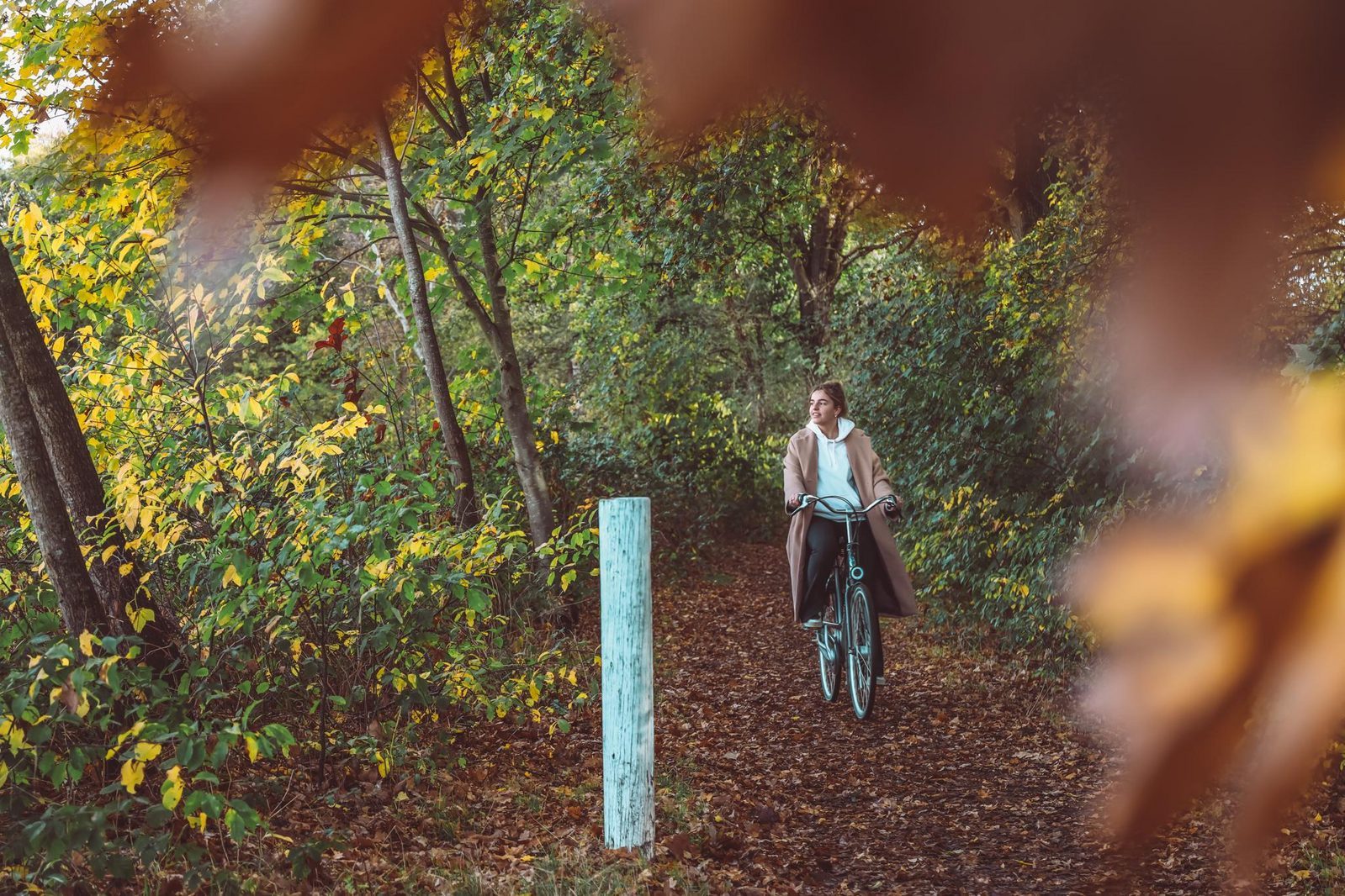 Mountain biking on the Veluwe