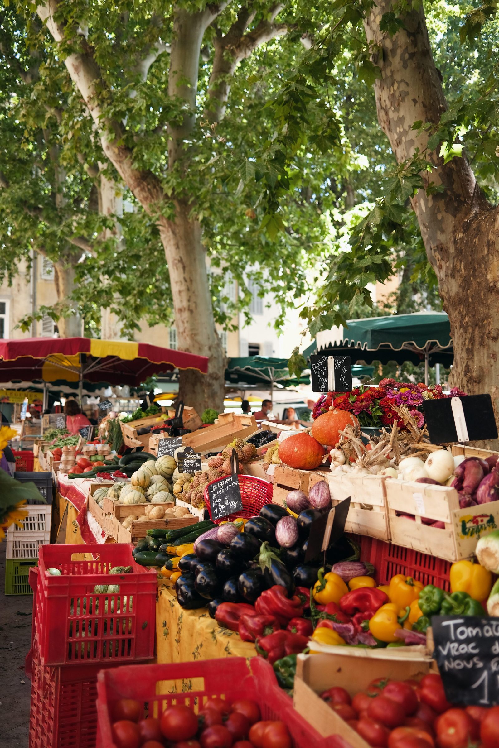 Discover the most beautiful markets on the French Riviera