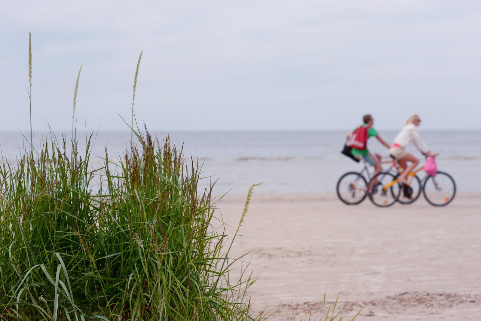 Bicycling vacation The Netherlands