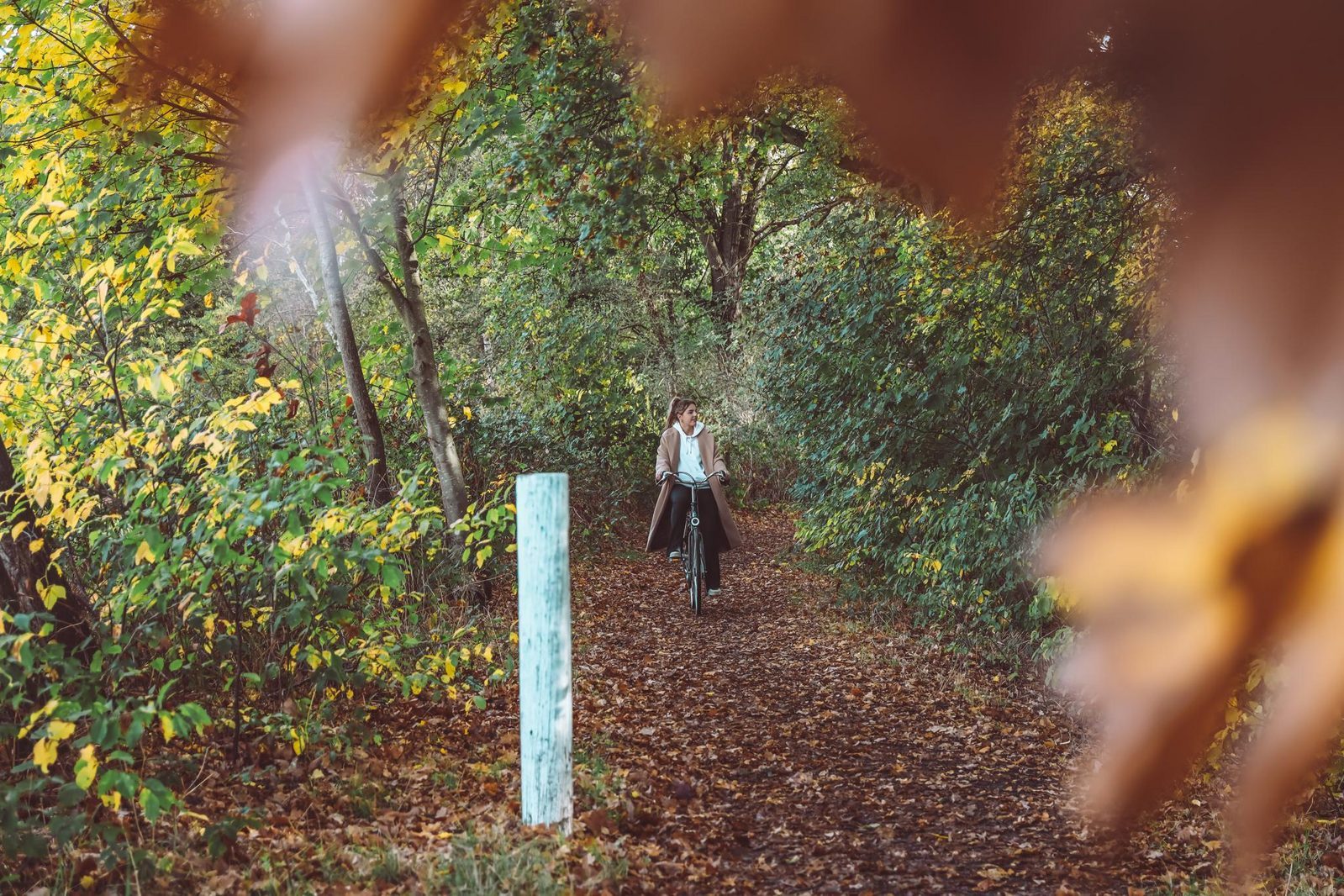 Biking and Hiking on the Veluwe