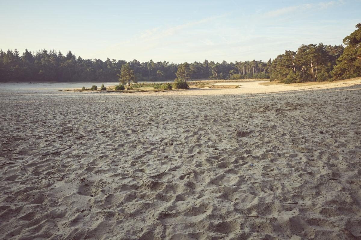 Sand Drift the Sahara in Ommen