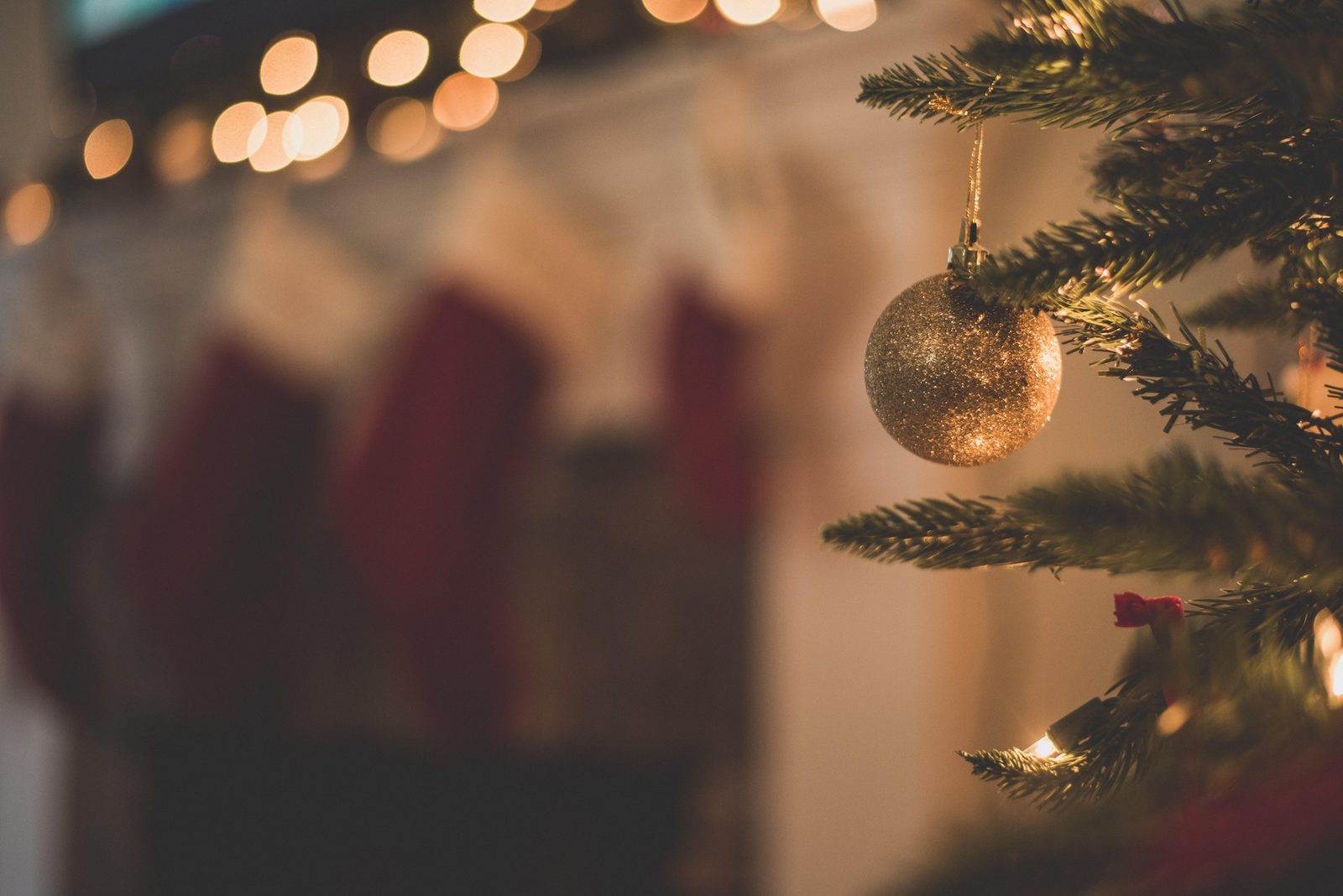 Weihnachtsferien in Flevoland