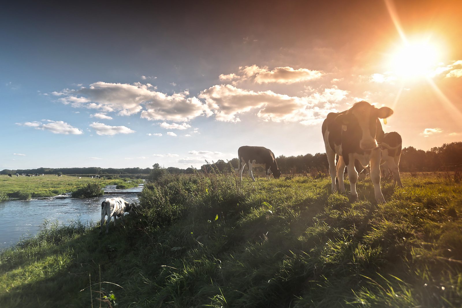 Ontdek het Vechtdal met Kids