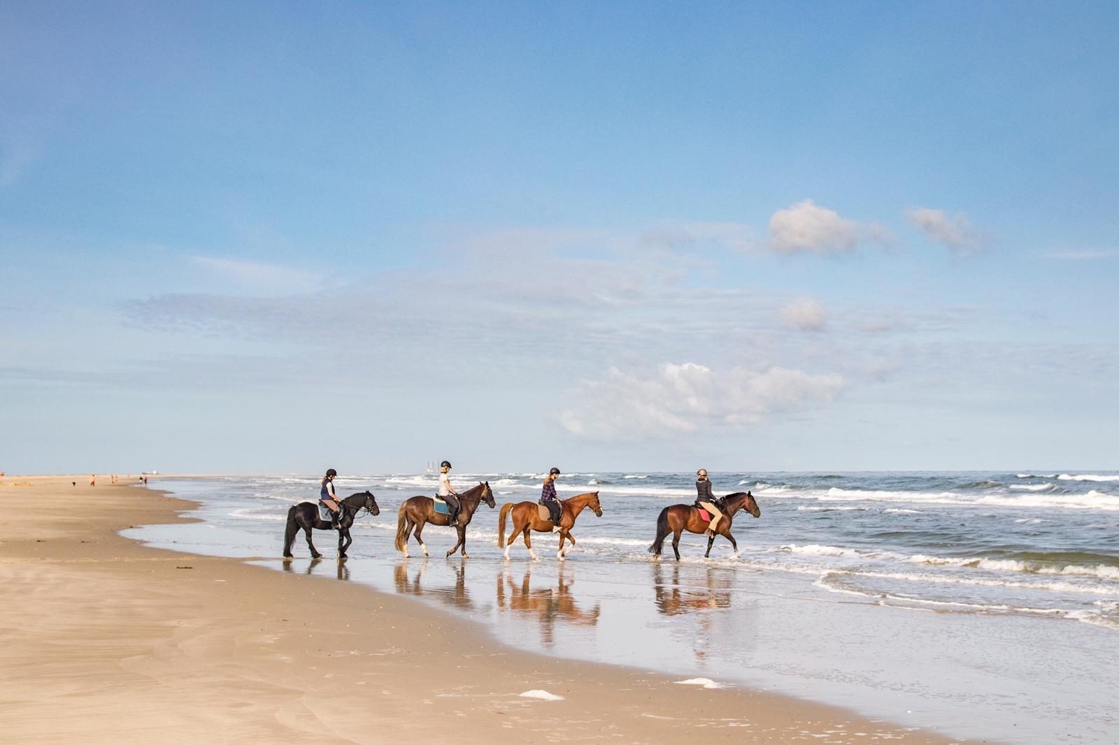 Horseback riding beach Zeeland Kamperland Stal Veersedam