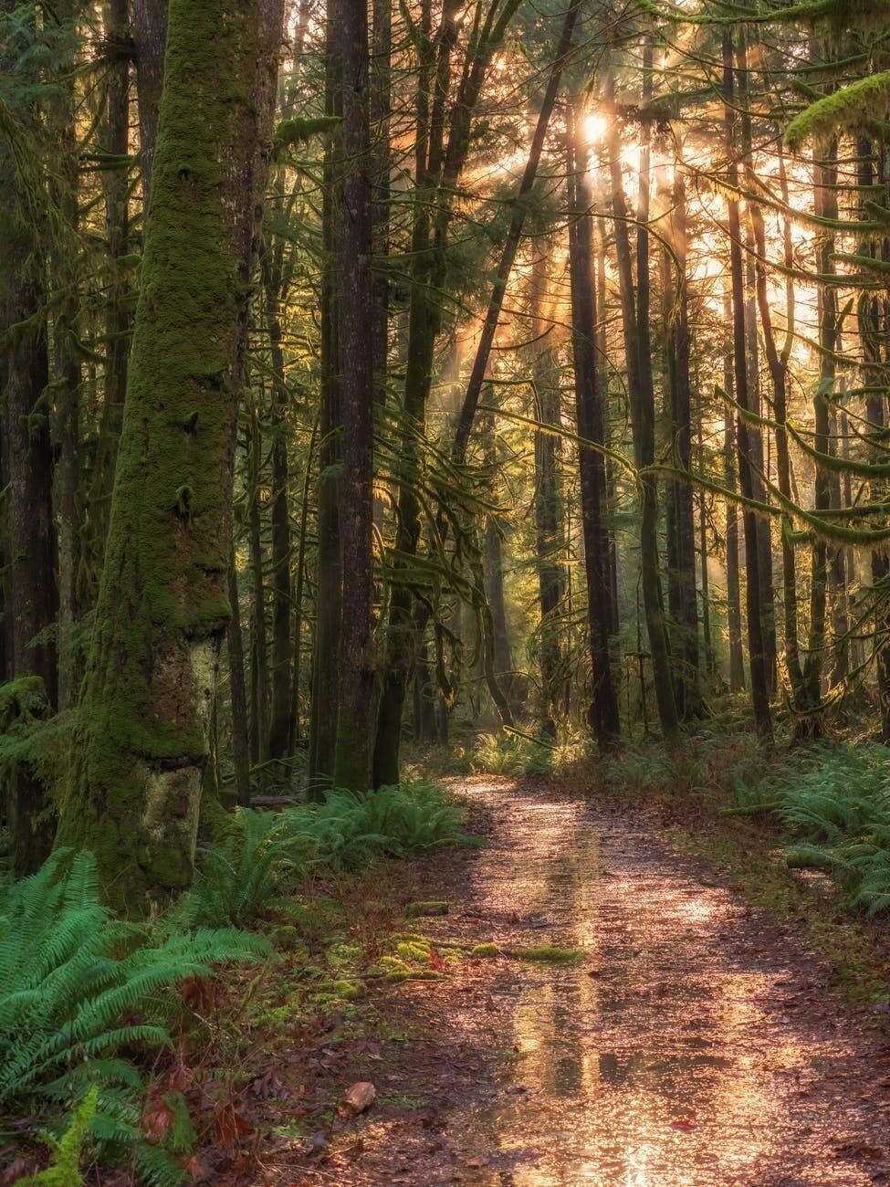 Nature reserve De Borkeld