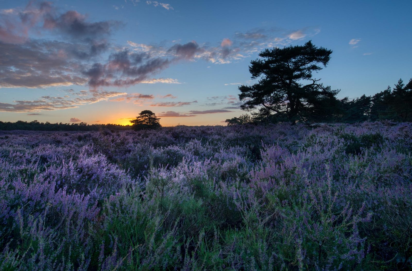 Wandelroutes door de omgeving