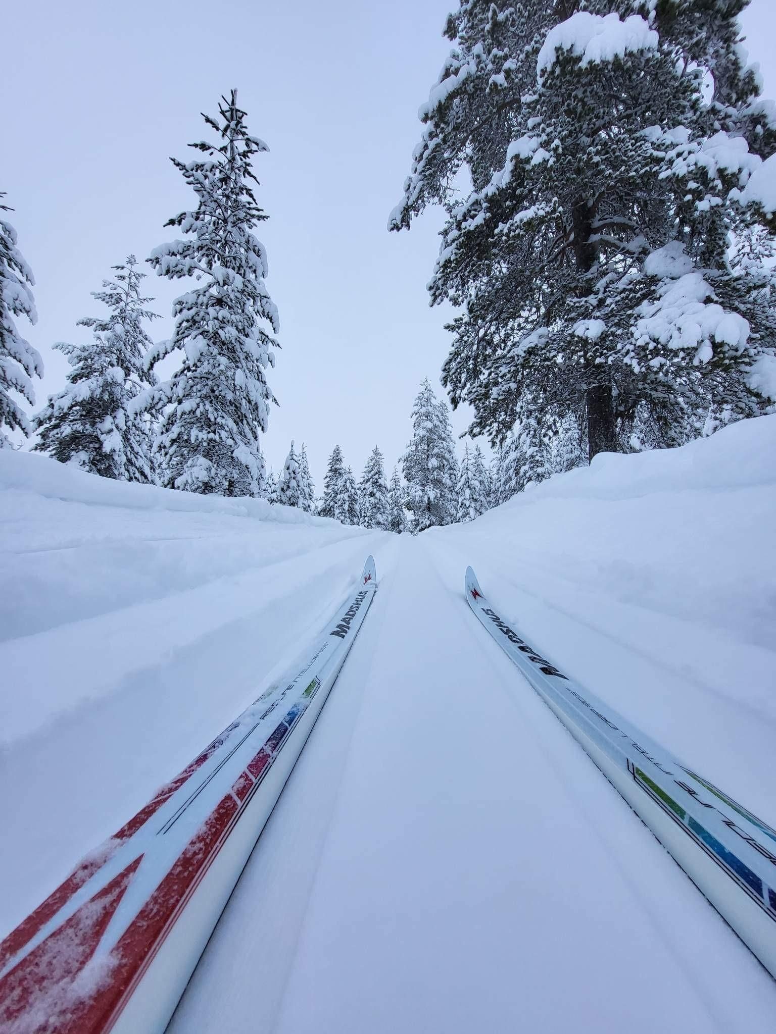 Cross-country trails