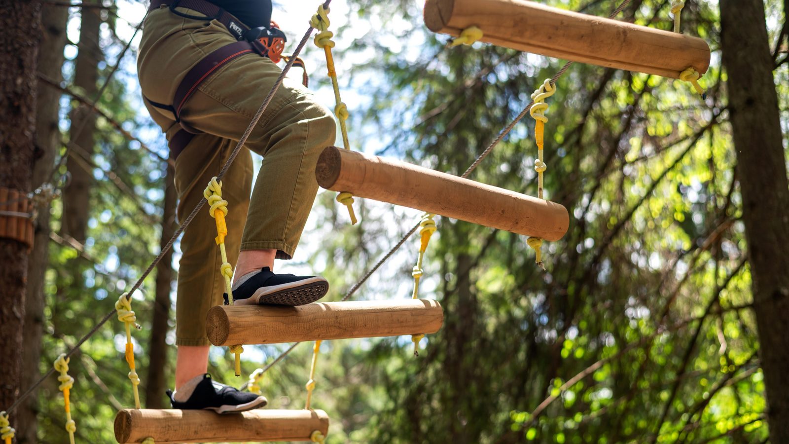 Climbing forest