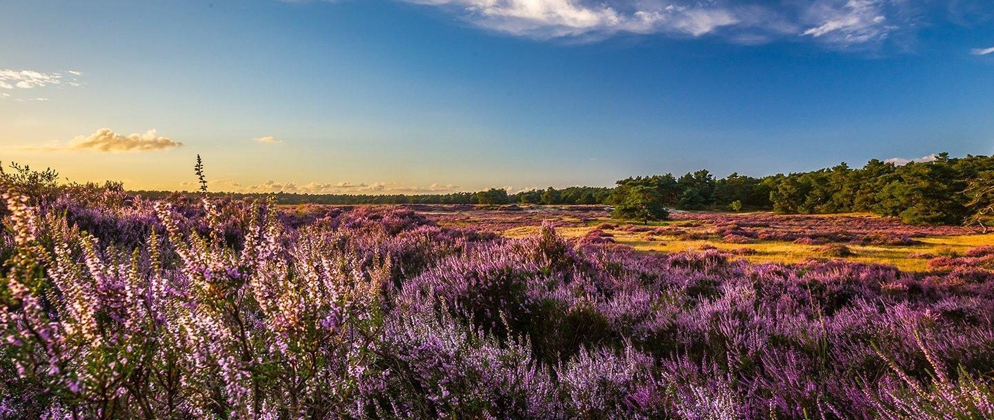 September nazomer