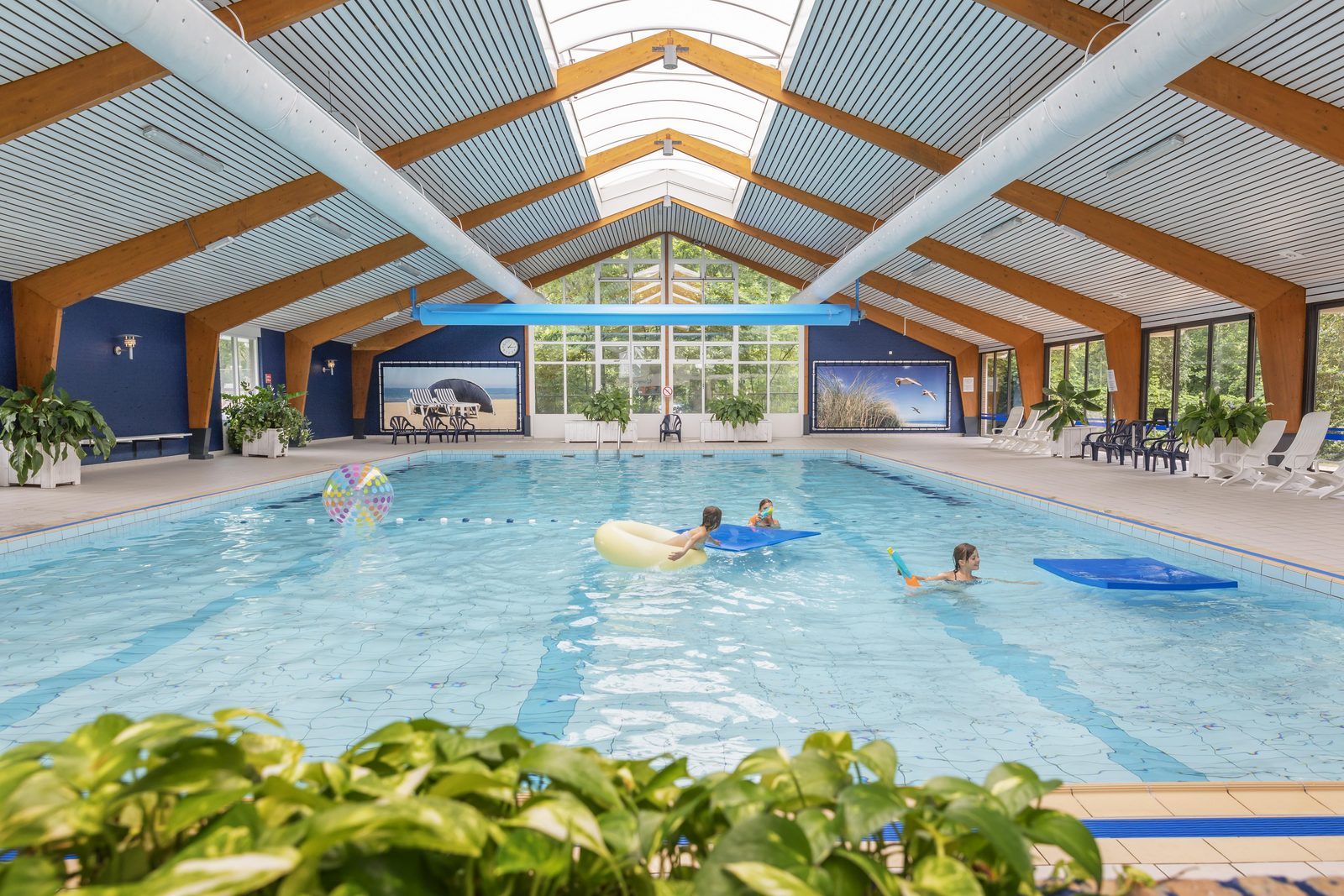 Swimming pool Campanula