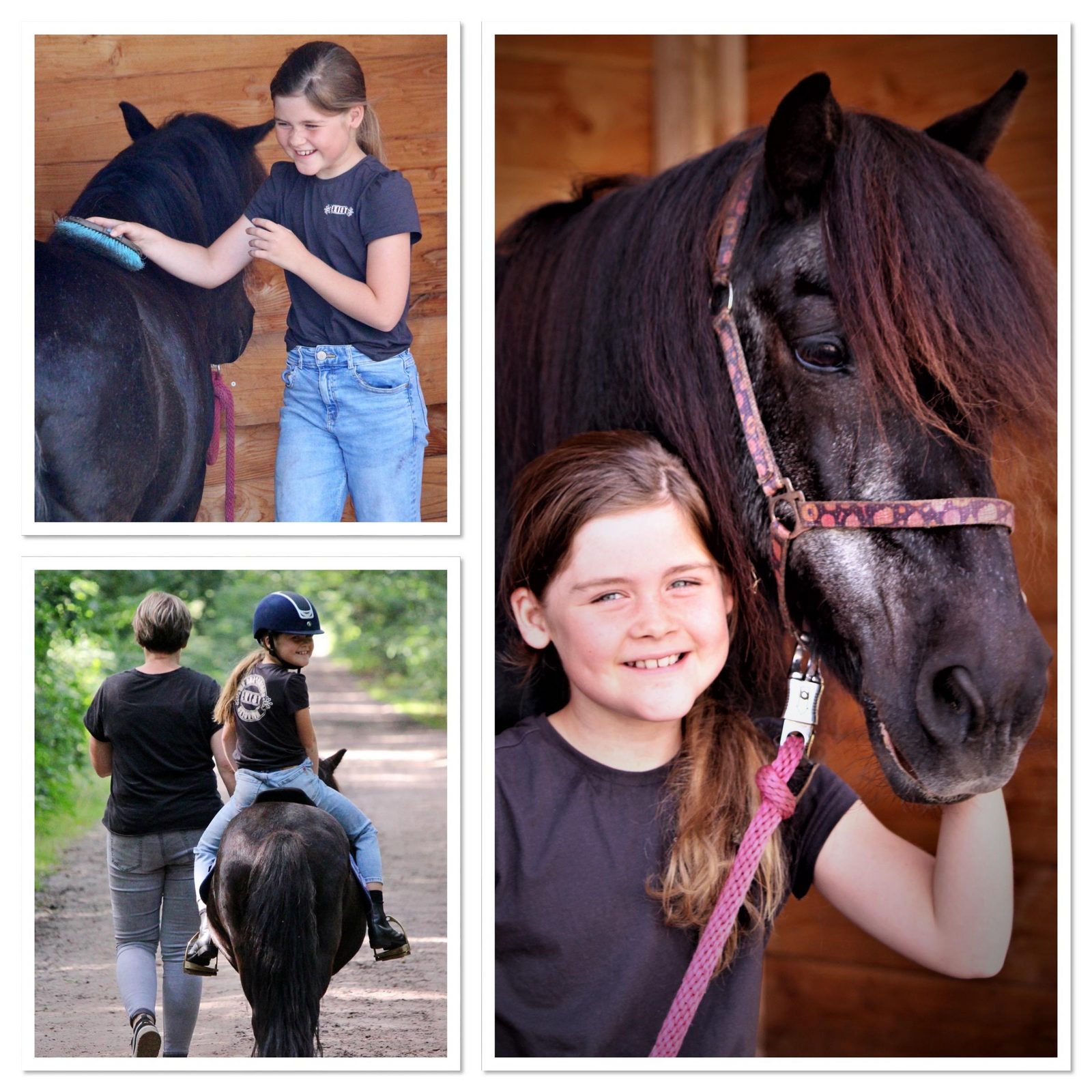 Riding school 'Hoogenweg'