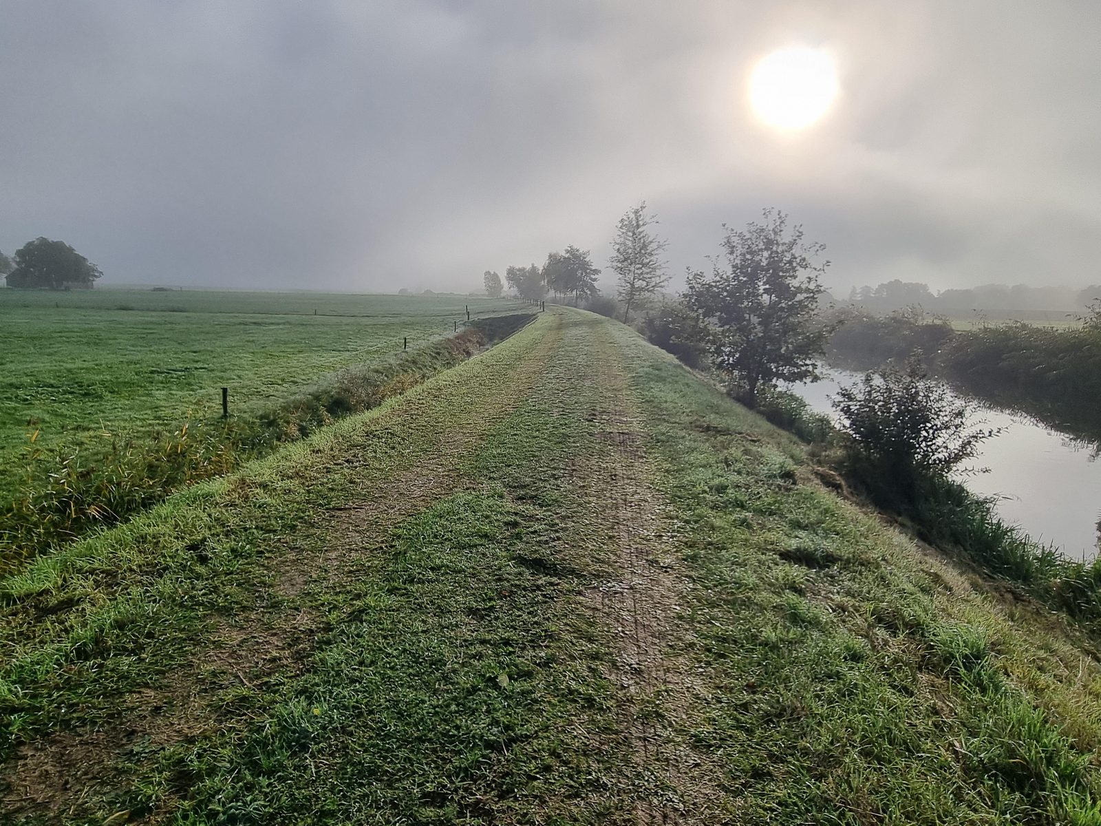 Wandelen