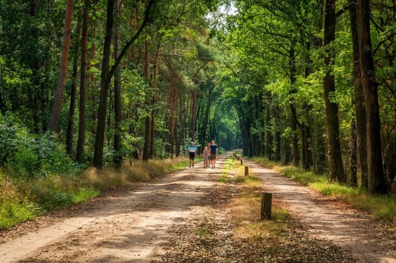 Wandelen familiecamping