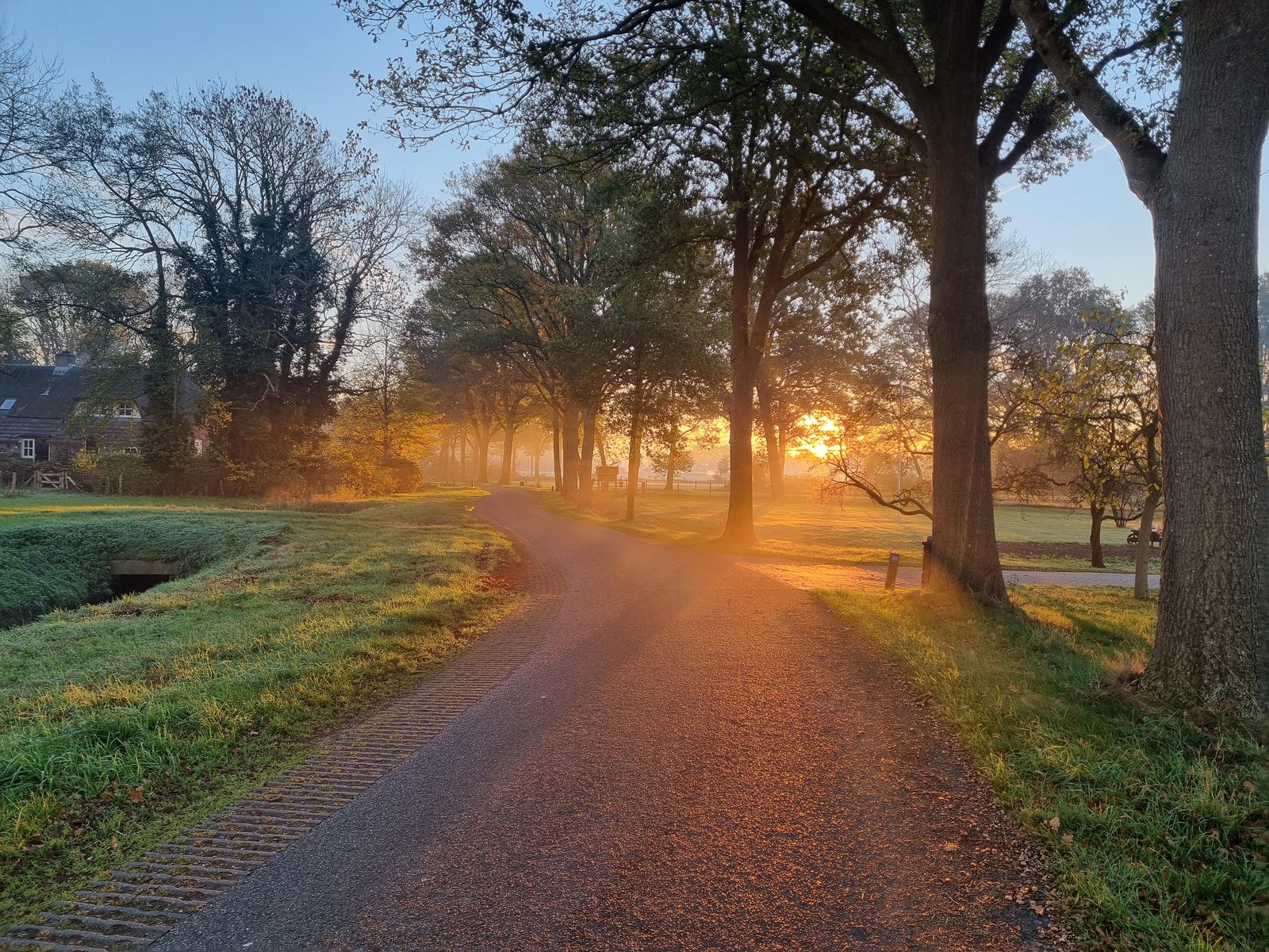 Landschap
