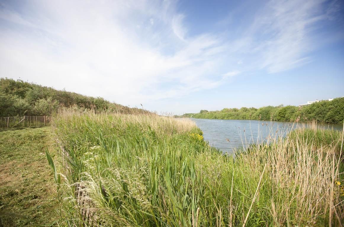 Ontdek de prachtige polders