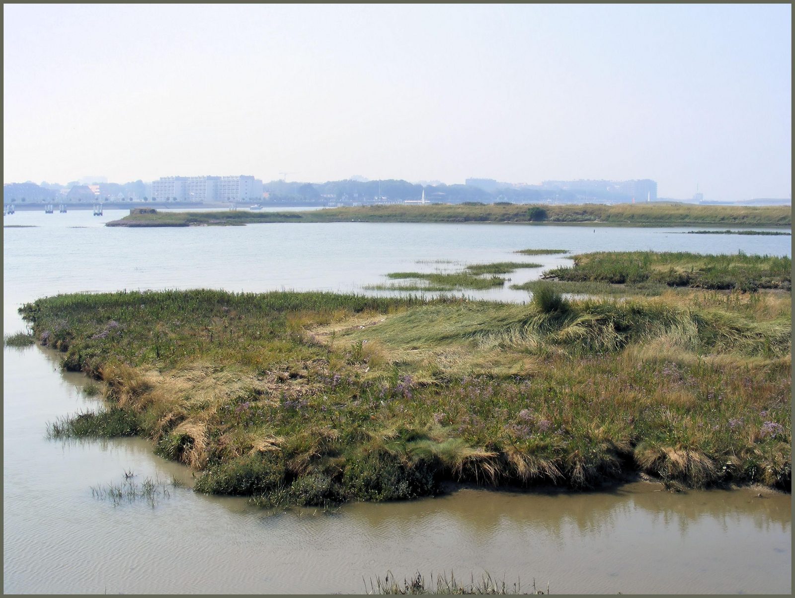 Nature preserve ‘De IJzermonding’