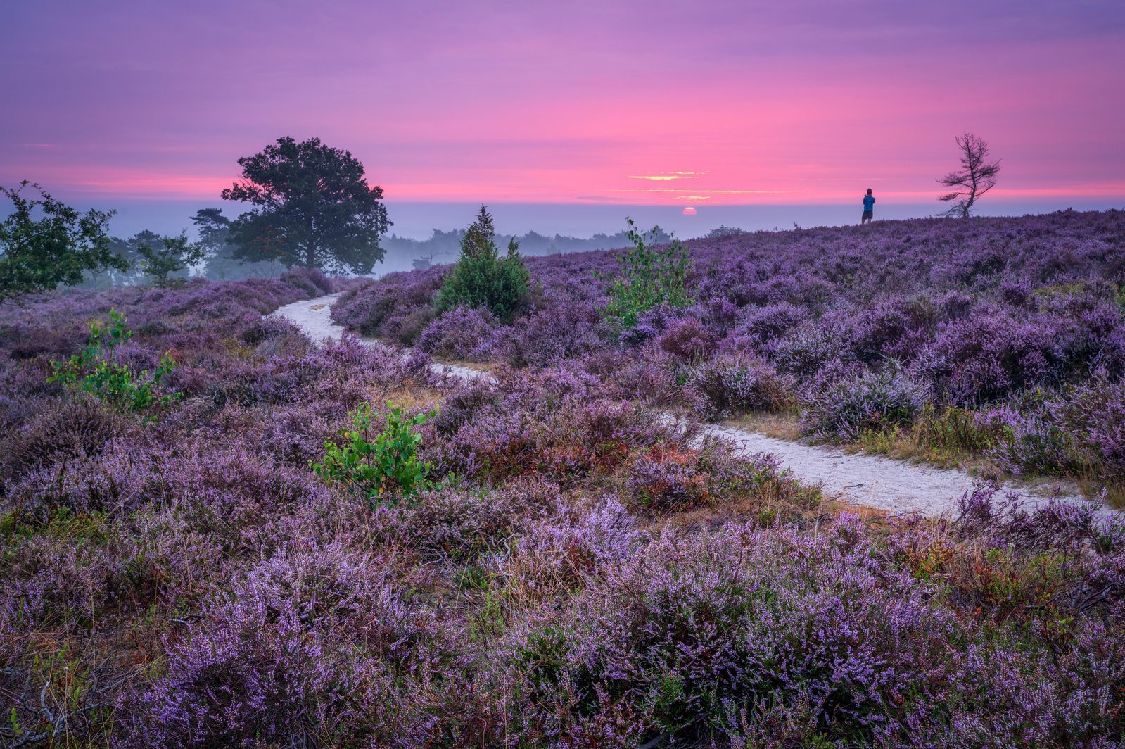 Buitenplaats Holten omgeving