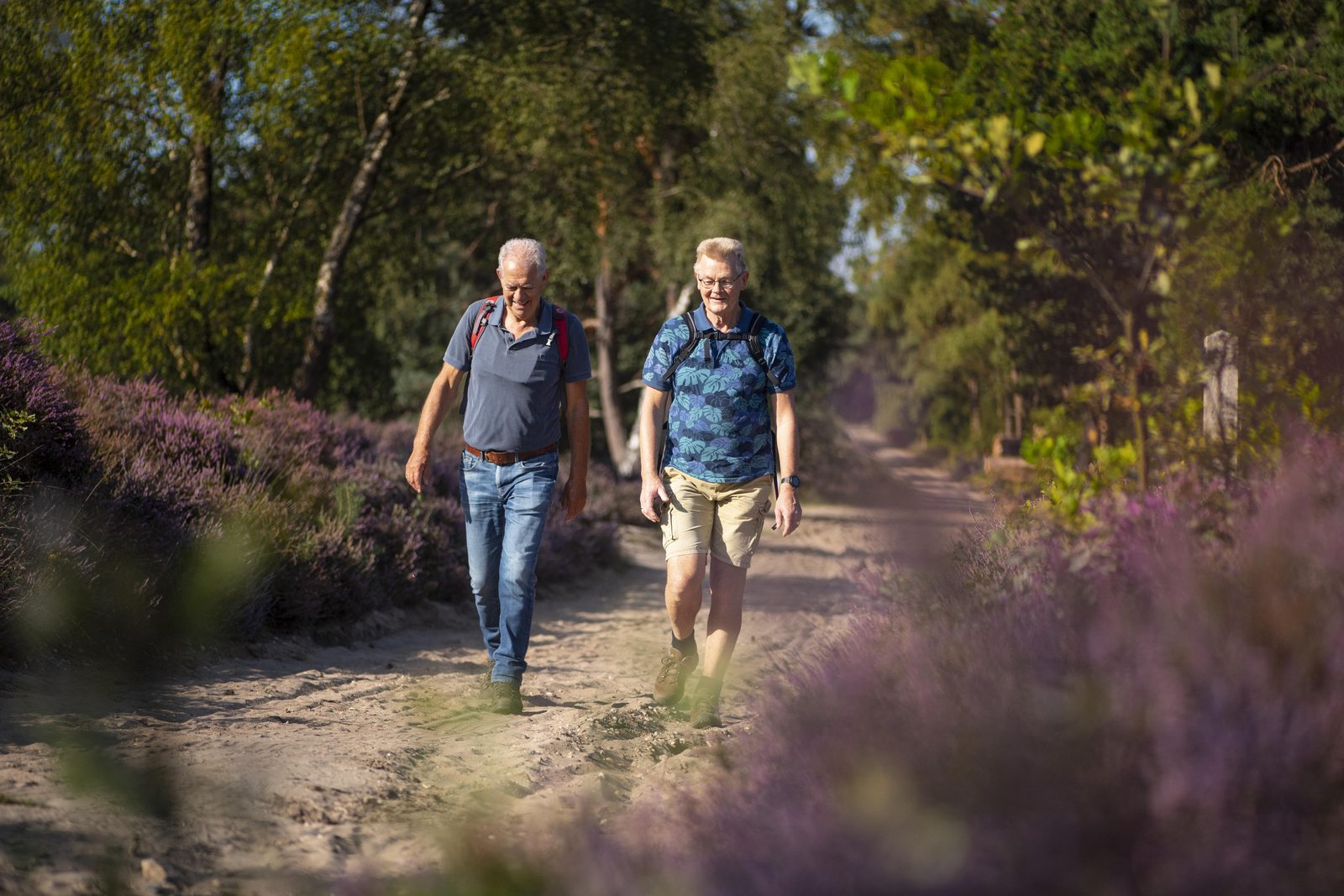 Wandelroutes Sallandse Heuvelrug