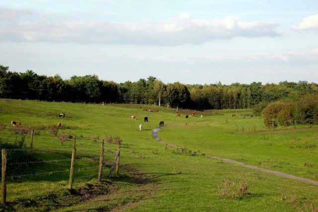 Nature reserve Collendoorn