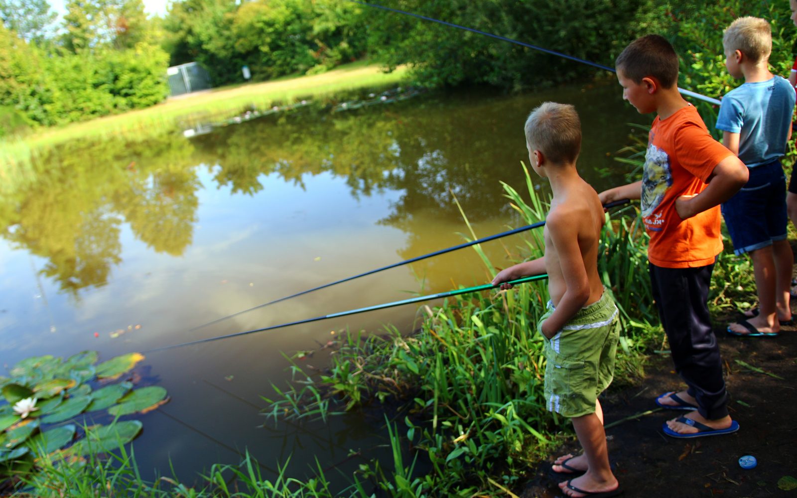 Camping met visvijver