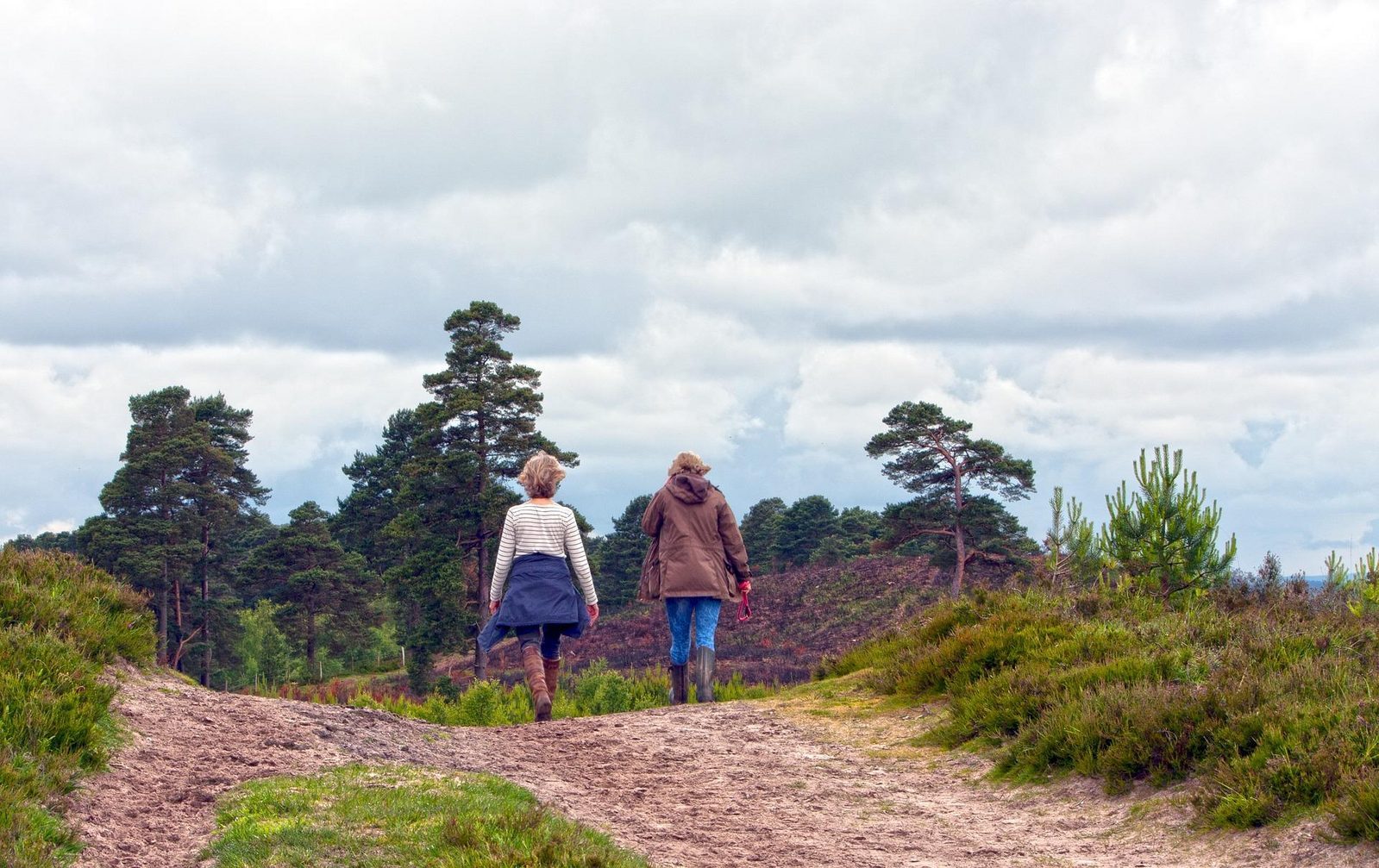 Hiking Holiday Drenthe