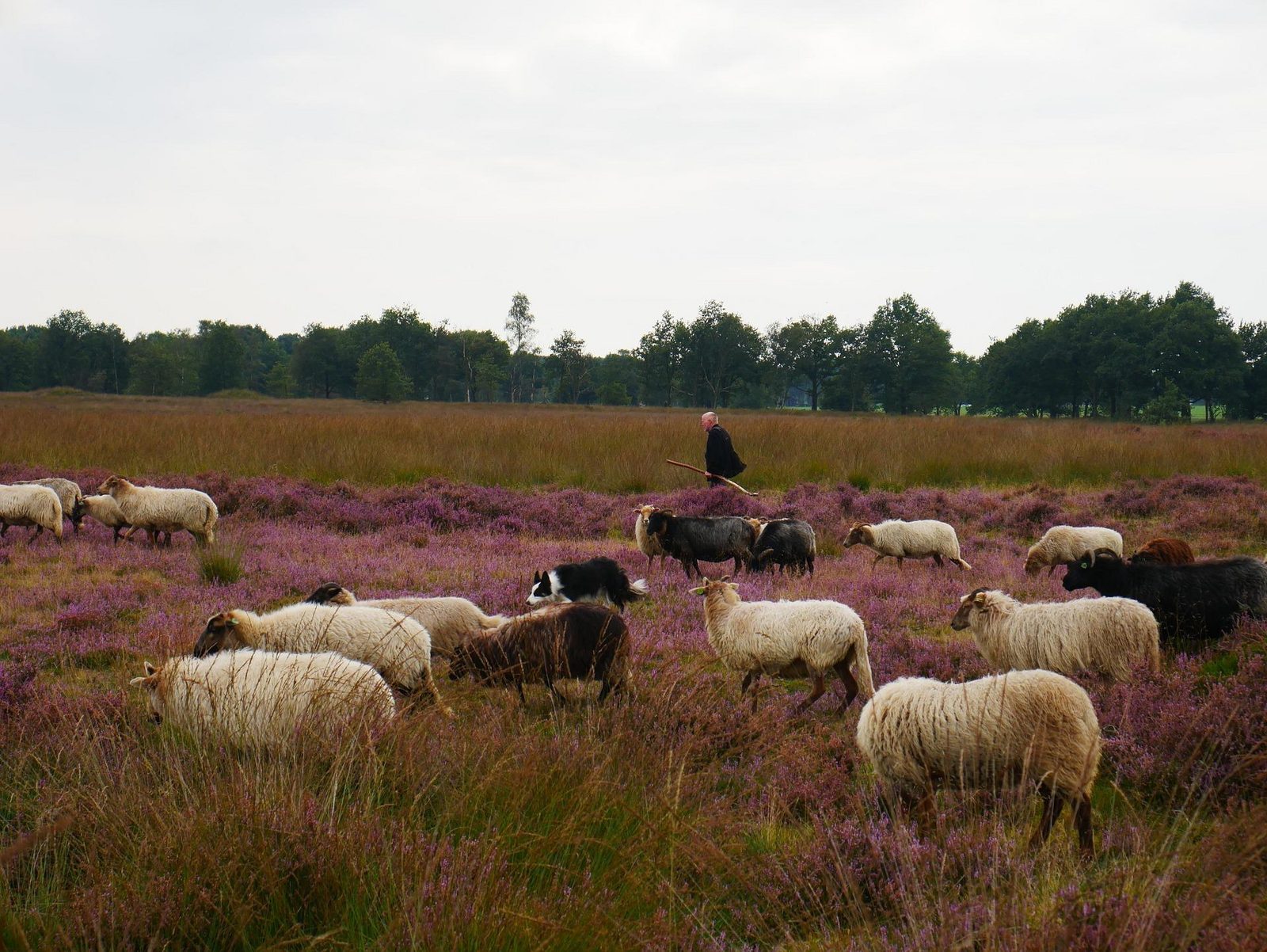 Ferienpark Holland