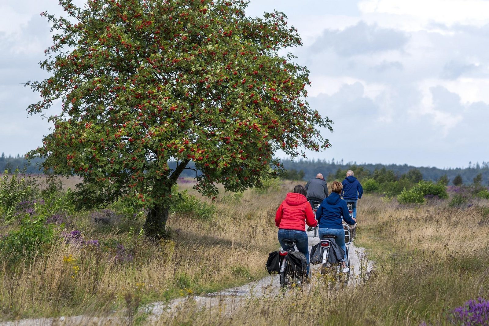 Cycling holiday Drenthe