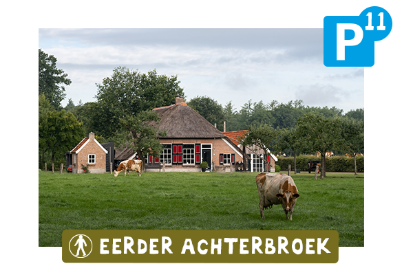 P11. Eerder Achterbroek