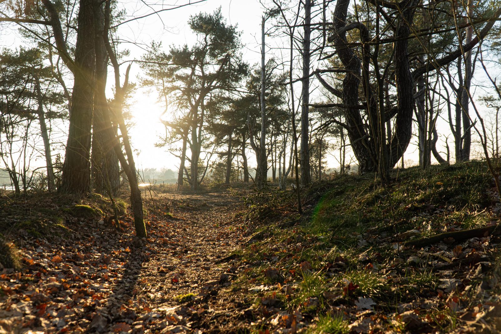 Vastgoedfonds De Bergvennen II CV