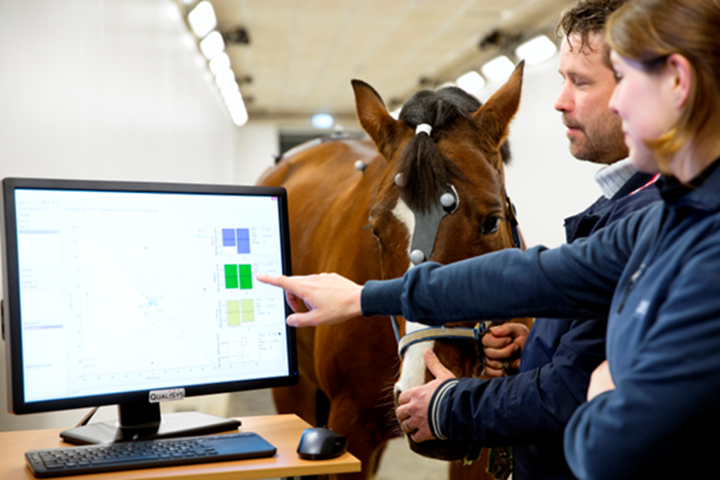 Equine Gait Analysis Society (EGAS)