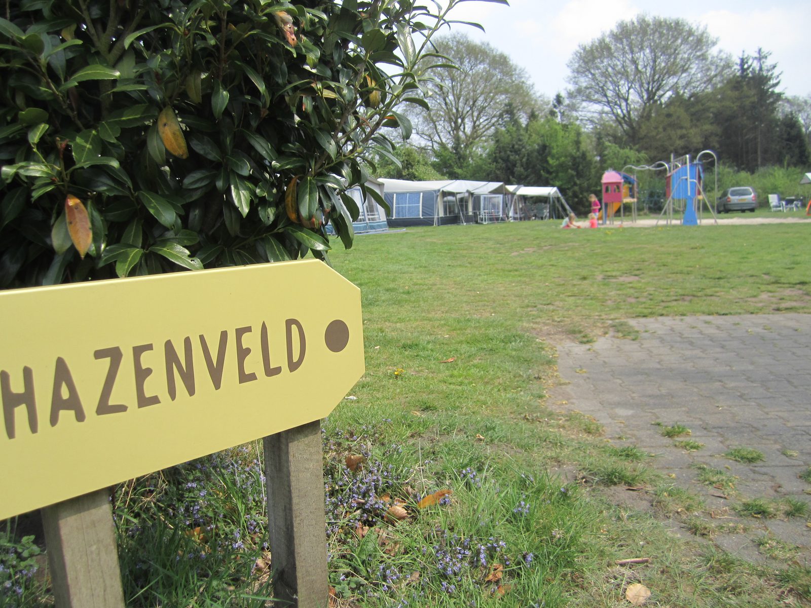 Hazeveld