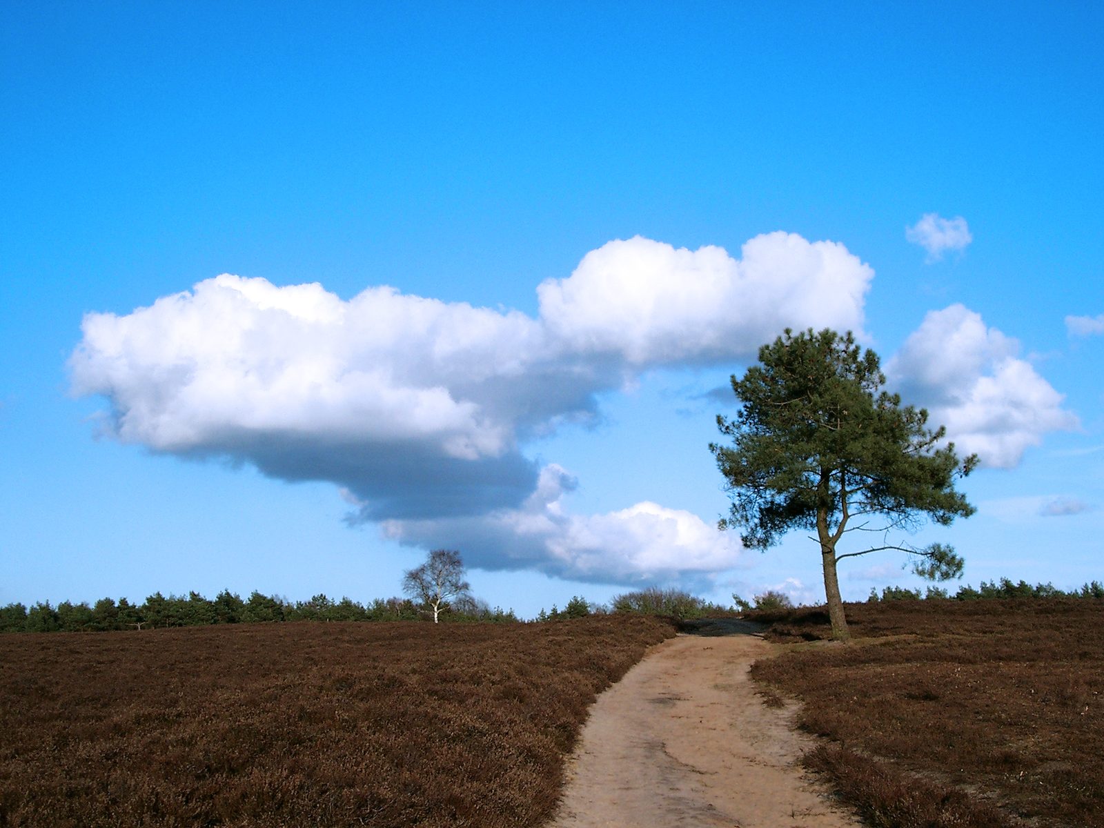 The story of the north of the Veluwe