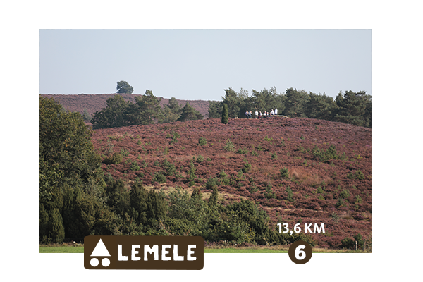 MTB Lemele