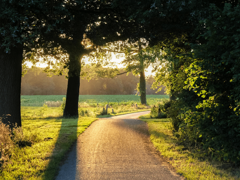 Om de hoek: Aalten