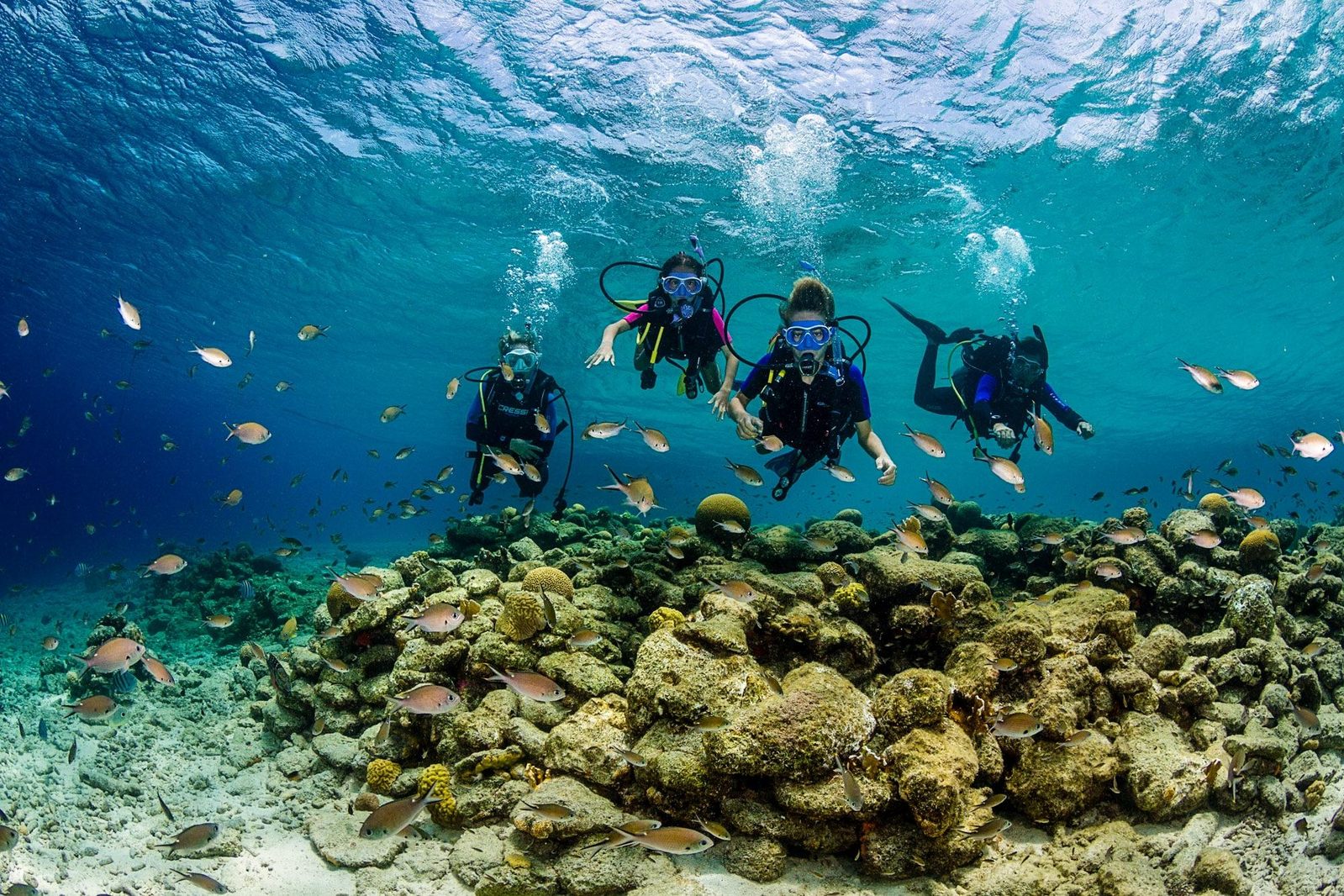 Bonaire National Marina Park