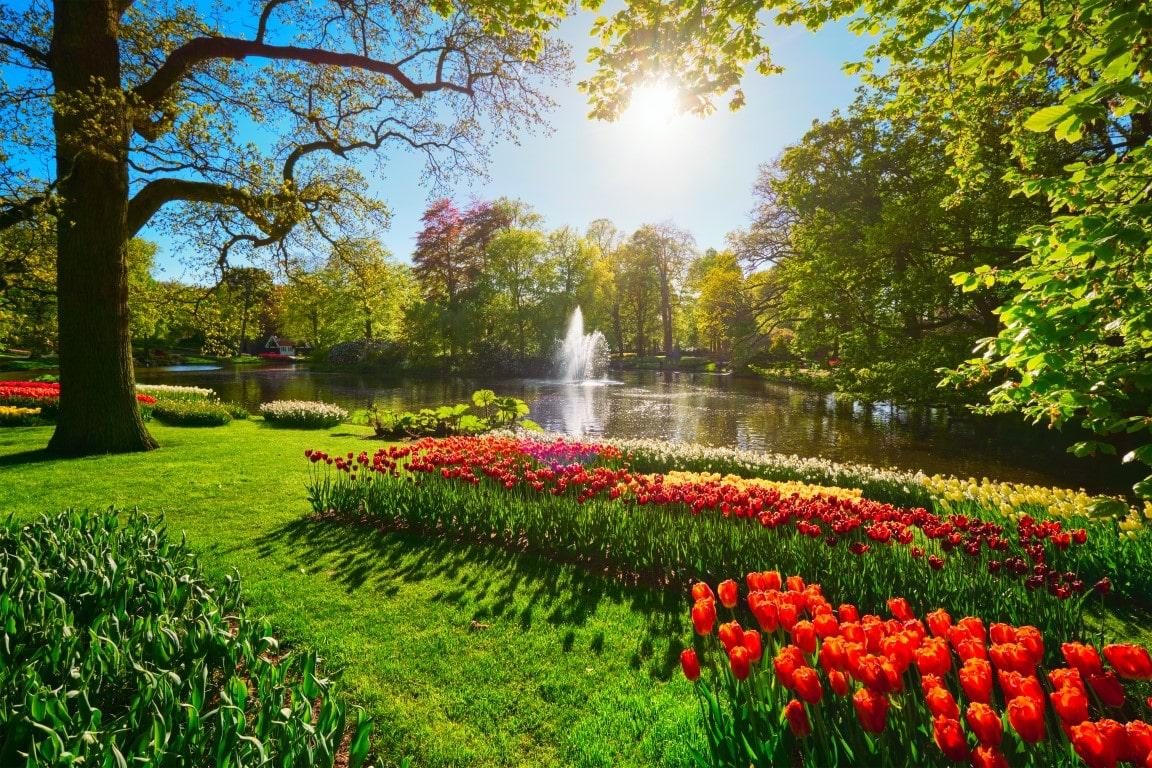 The Keukenhof