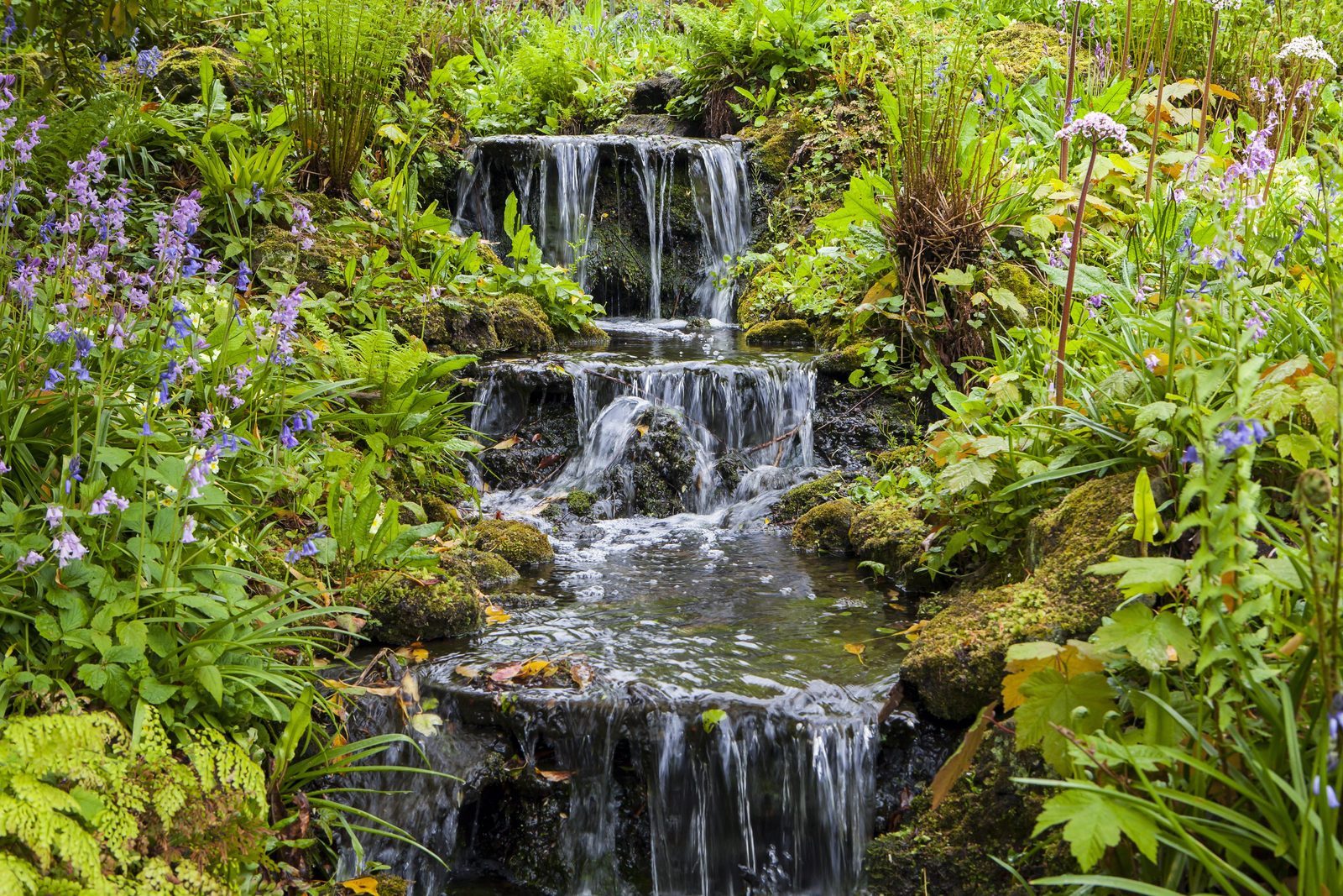 Botanische tuin Hortus Botanicus