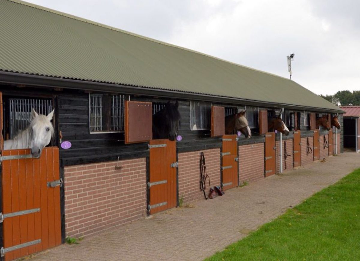 Horse stables