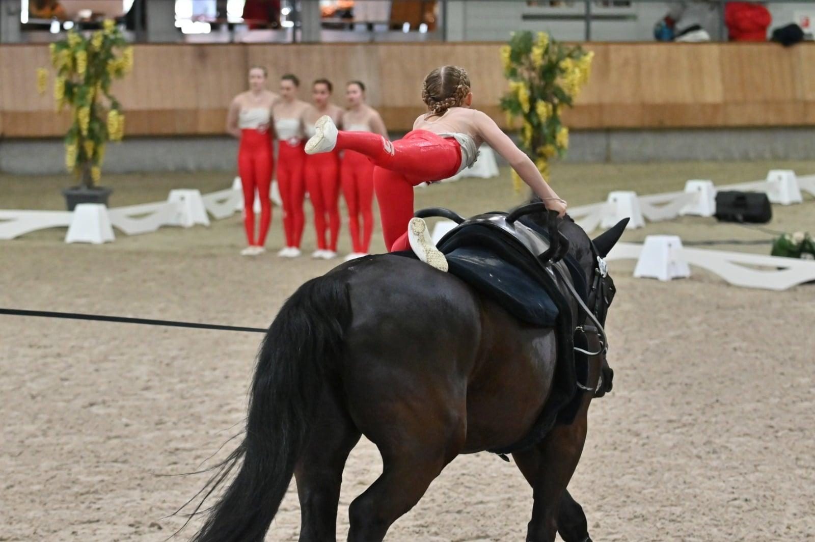 CVI ermelo - Voltige