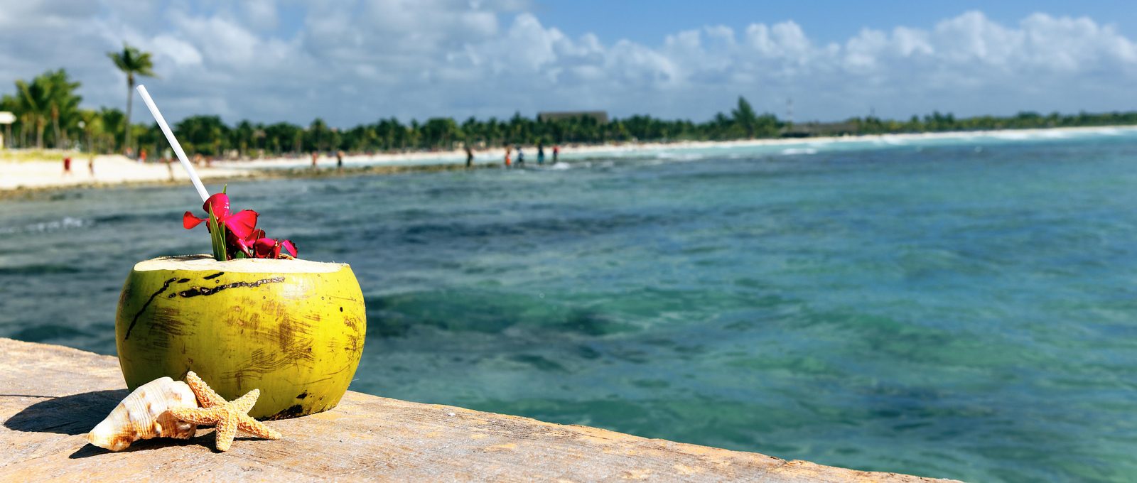 Winter sun vacation on Bonaire