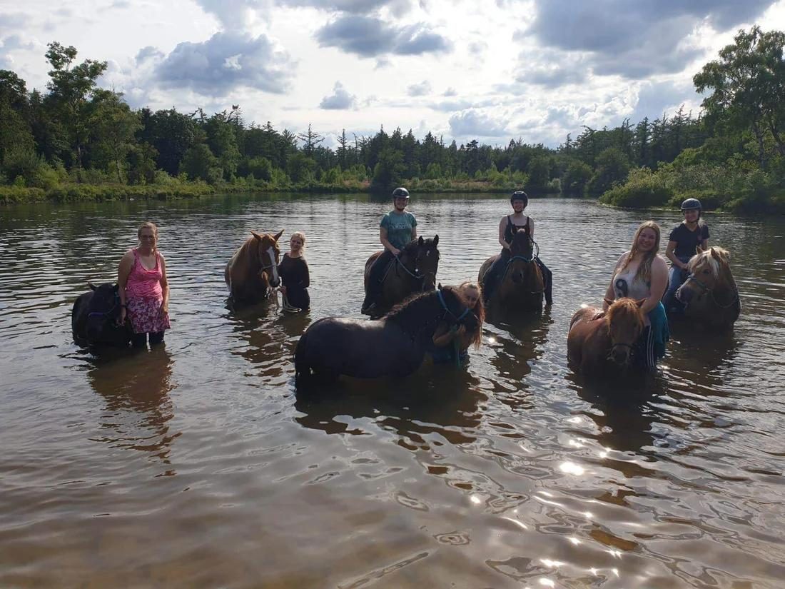 Powerful Connection (horseriding)