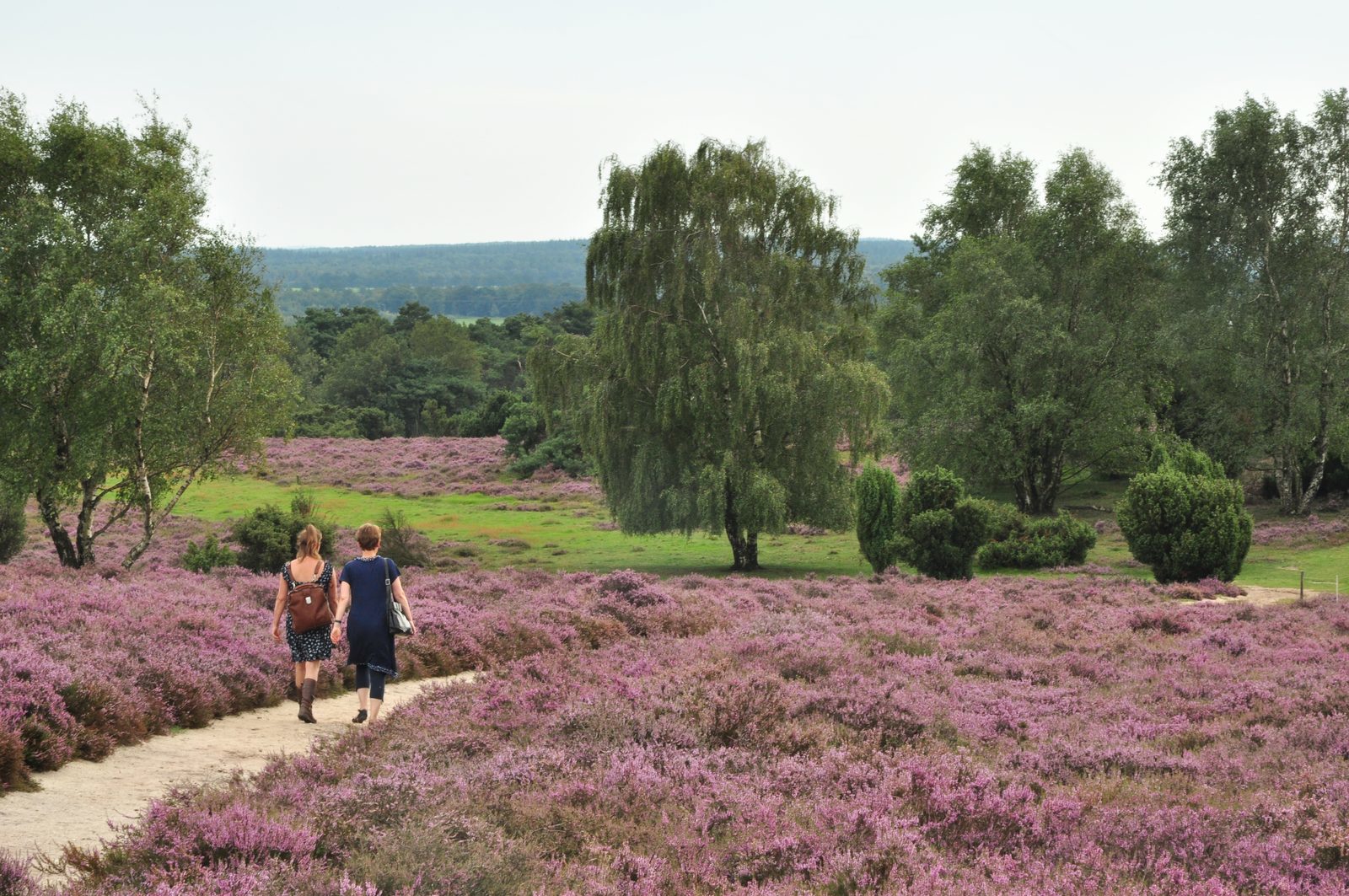 Have a lovely walk on the Lemel hills